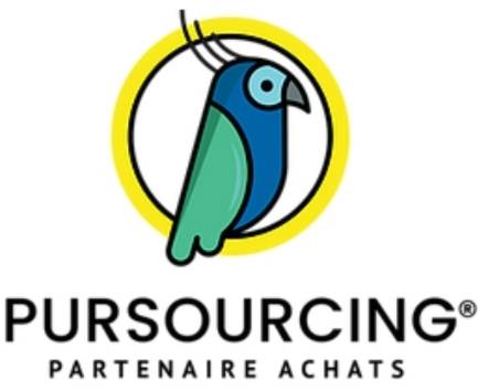 Consultante Achat Sourcing PACA Pursourcing